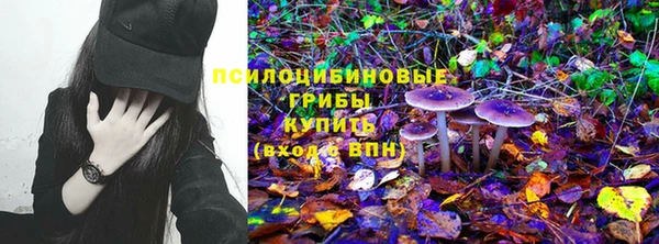 Альфа ПВП Балабаново
