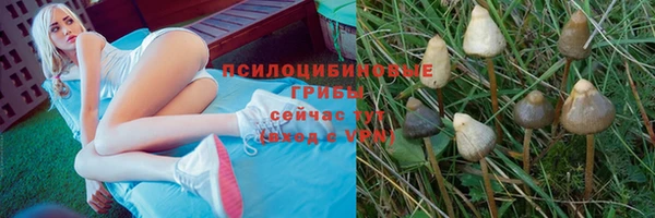 гидропоника Беслан