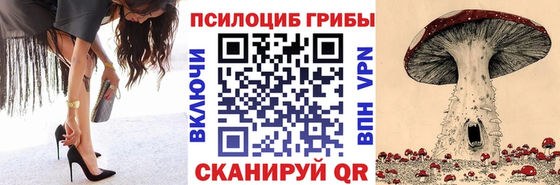 Псилоцибиновые грибы ЛСД  где найти наркотики  Калининец 
