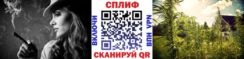 Конопля AK-47  где найти наркотики  Калининец 